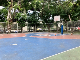 台北橋邊18坪全新裝修、陽光陽台美宅（第12張）