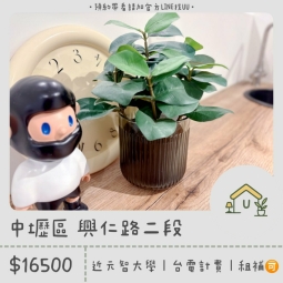 近元智｜內壢｜採光套房｜台電計費｜洗脫烘洗衣機｜租補🉑（第1張）