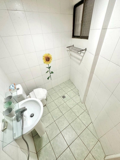 逢甲精選🏆可租補🐶可寵💰共洗共曬🌳衛浴開窗（第4張）