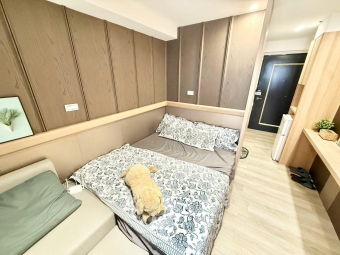 茶香悠然綻放🐈🐕可寵可狗✨獨洗獨曬✨可租補💕近科博館 中國醫⚡宇你相見（第3張）