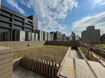 林口大露台高採光兩房車（第1張）