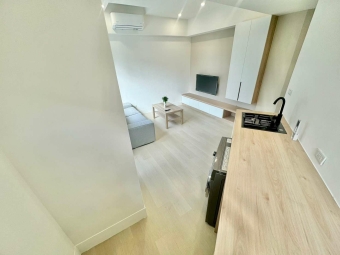 宇你相見💕陽台獨洗✨可租補💕可寵可狗💕正一房一廳（第5張）