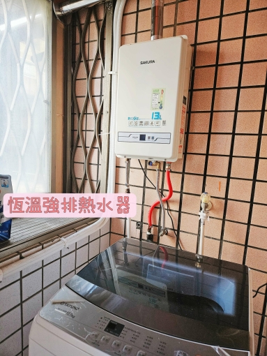 家庭式可寵雅房#限女性#近台元、遠百（第2張）