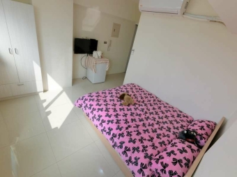 💖可租補✨電梯🏠陽台獨洗✔️近體大💖（第3張）