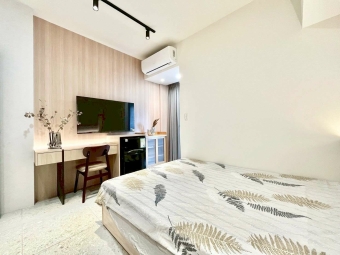 🔥東區整棟全新🔥陽台獨洗🔥歡迎寵物🔥近體大一中（第8張）