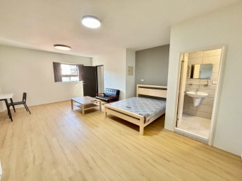 東區旱溪樂成宮大套房 - Image 8