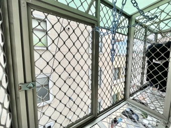 🧡加賴約🧡電梯美屋🧡可凸窗曬🧡租屋補助🧡小資族首選🧡 - Image 9