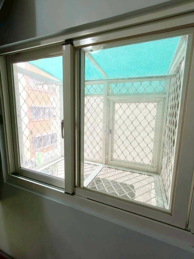 🔥西區可寵套房🔥獨洗獨曬🔥飲水機子母車🔥近精明商圈（第3張）