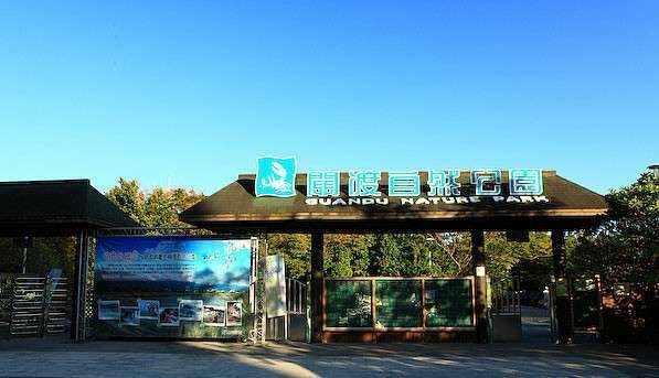 關渡捷運布拉格景觀大廈（第10張）