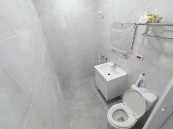 西屯新光三越/可貓/大衣櫃/全新套房/可雙租補（第5張）