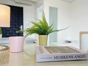 💓內湖三總/南港昆陽/美景電梯管理採光套房（第8張）