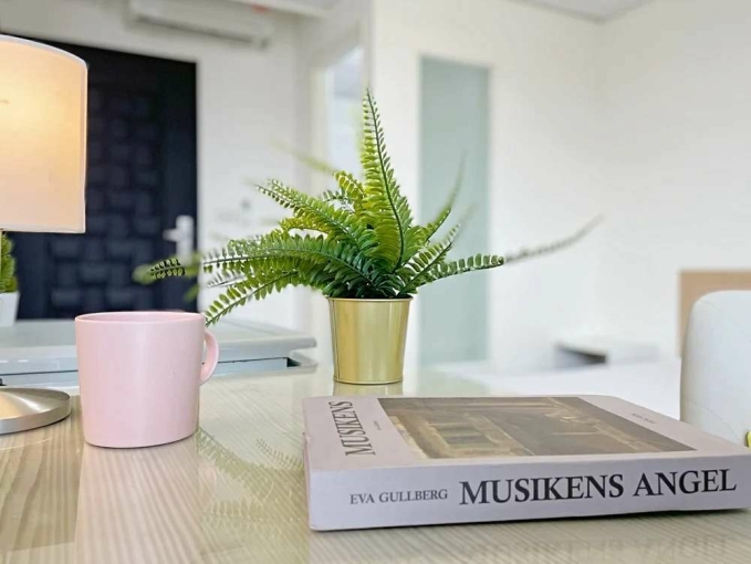 💓內湖三總/南港昆陽/美景電梯管理採光套房（第8張）