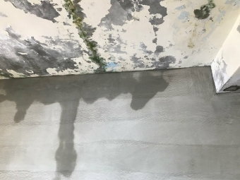 以護代租 - Image 6