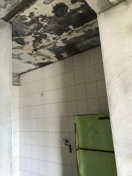 以護代租 - Image 4