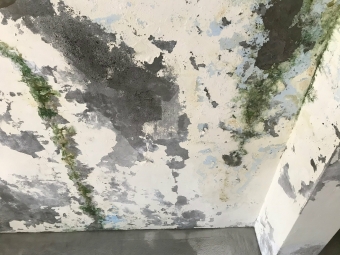 以護代租 - Image 5