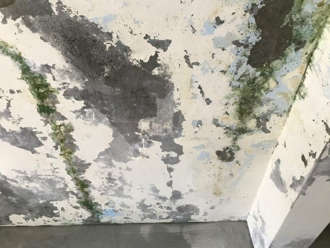 以護代租 - Image 2