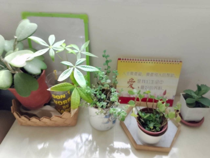 新莊捷運明亮家庭式雅房誠覓室友 - Image 12