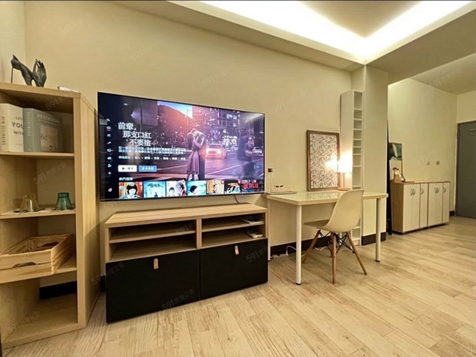 65吋大電視獨洗獨曬文心公園廚房捷運大衣帽間（第3張）