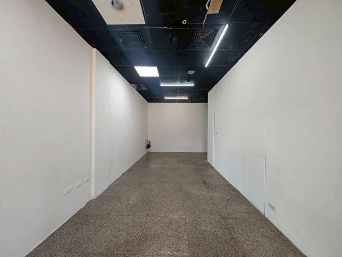 光明六路小資店面*獅子王(第2張)