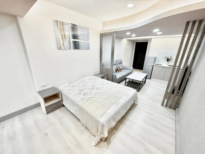 ✨超高級裝潢✨可貓✨可租補✨子母車✨超大衣櫃✨近逢甲（第7張）