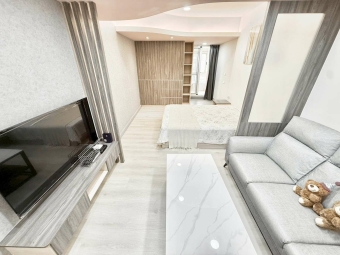 ✨超高級裝潢✨可貓✨可租補✨子母車✨超大衣櫃✨近逢甲（第2張）