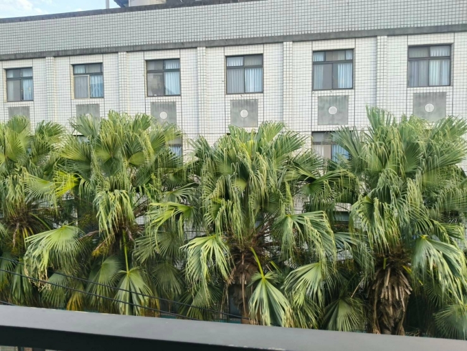 獨立套房有陽台（第8張）