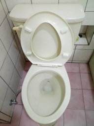 生活機能一級棒（第5張）